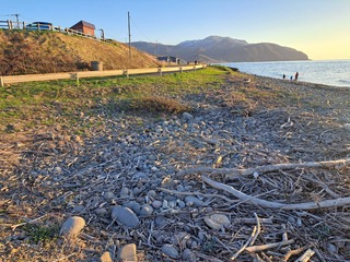 20250423_175512-42aa0.jpg
