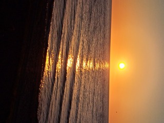 20250423_181150.jpg