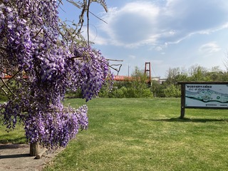 220524 uOʐ^1.jpg