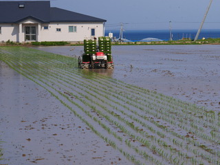 220524 uOʐ^2.JPG