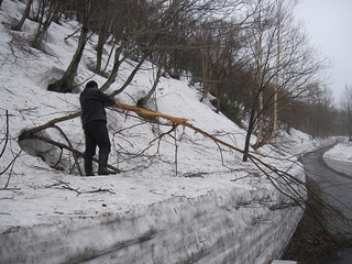 240426-1.jpg