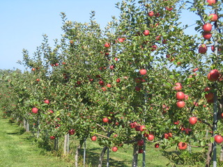 241111 uOʐ^2.JPG