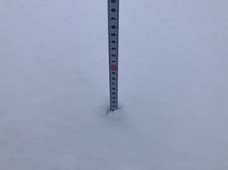 241209 uOʐ^2.JPG