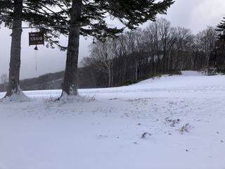 241216 uOʐ^2.JPG