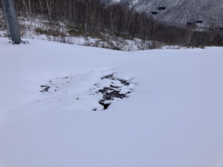 241216 uOʐ^3.JPG