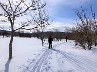 250224 uOʐ^1.JPG