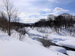 250224 uOʐ^4.JPG