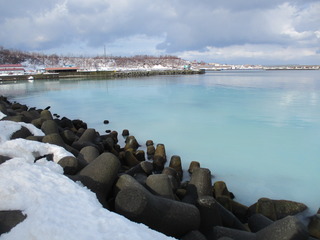 250317 uOʐ^1.JPG