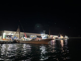 250414 uOʐ^1.JPG