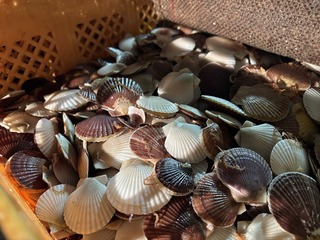 250414 uOʐ^3.JPG