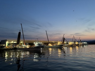 250414 uOʐ^5.JPG