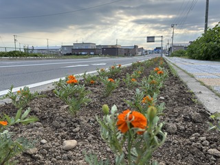 250609 uOʐ^1.JPG