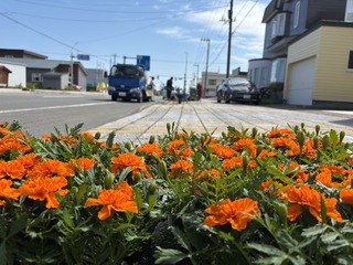 250609 uOʐ^2.JPG