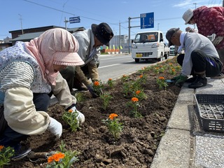 250609 uOʐ^3.JPG