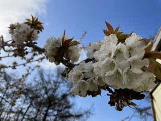 48C456C9-5ABF-4D6C-889A-C49F103BAD38.jpeg