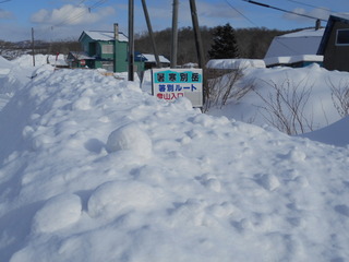 DSCN0462.JPG