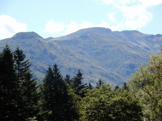 DSCN4973.jpg