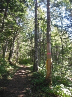 DSCN7662.jpg