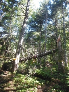 DSCN7664.jpg