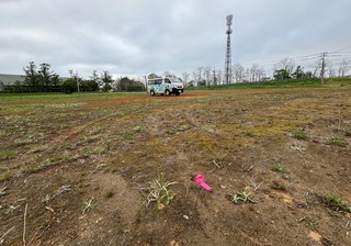 IMG_0075.JPG