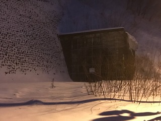 IMG_1146.JPG