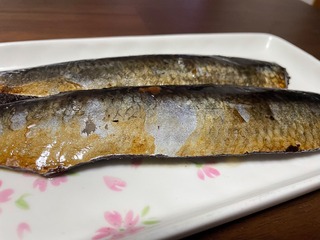 IMG_1682.jpeg