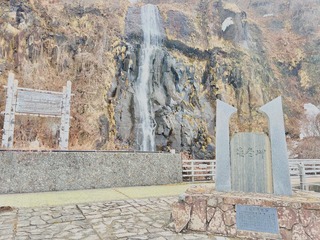 IMG_2212.jpeg