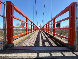 IMG_2303-13668.jpeg