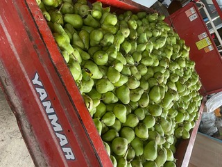 IMG_3292.jpeg
