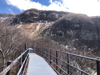 IMG_5617.jpeg