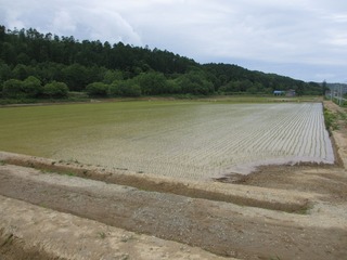 IMG_7144.jpg