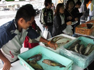 IMG_7388.jpg