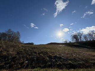 IMG_9288.JPG