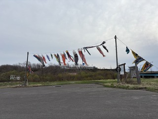 IMG_9971.JPG