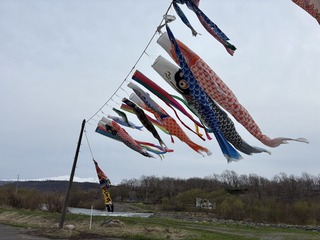 IMG_9972.JPG
