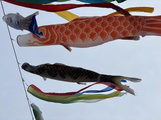 IMG_9978.JPG
