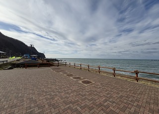 IMG_E9337.JPG