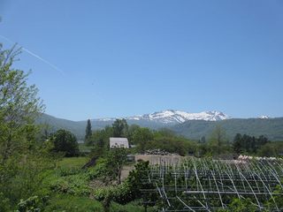 s-暑寒別岳と飛行機雲.jpg