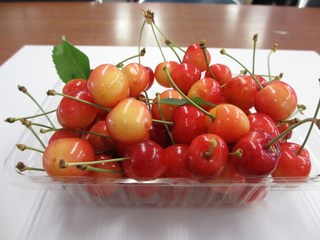s-サクランボ26.6.30初物.jpg