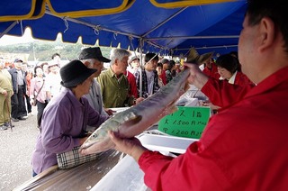 s-IMGP0307.jpg