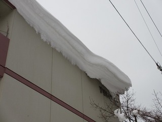 s-IMG_0006.jpg