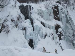 s-IMG_1756.jpg