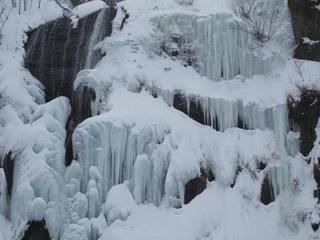 s-IMG_1758.jpg