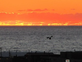 s-IMG_2583.jpg