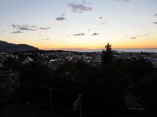 s-IMG_2589.jpg