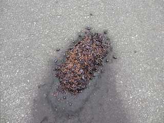 s-IMG_2624.jpg