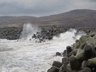 s-IMG_2765.jpg