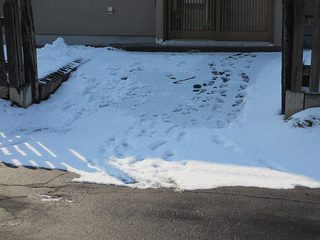 s-IMG_3294.jpg