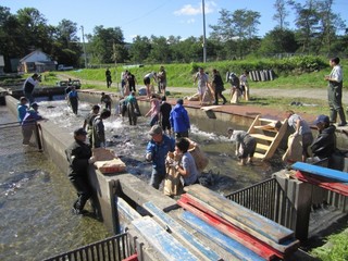 IMG_1302.jpg